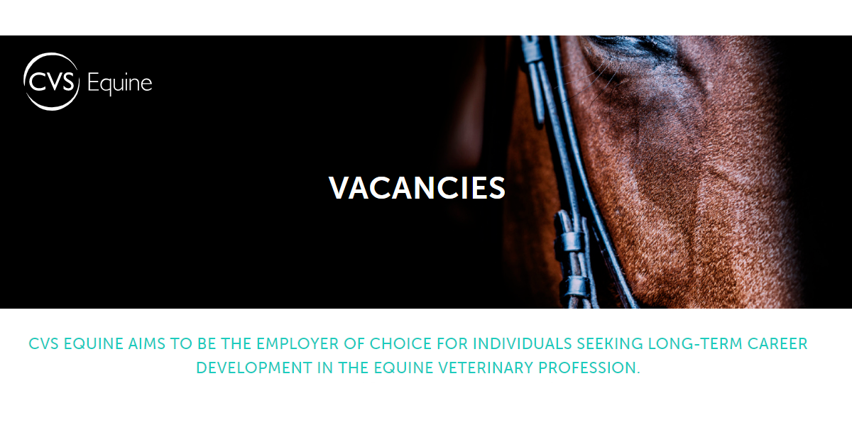 Equine Jobs Near Me Career Opportunities Explained